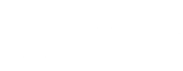 6Valley white logo