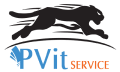 PVit Service Logo