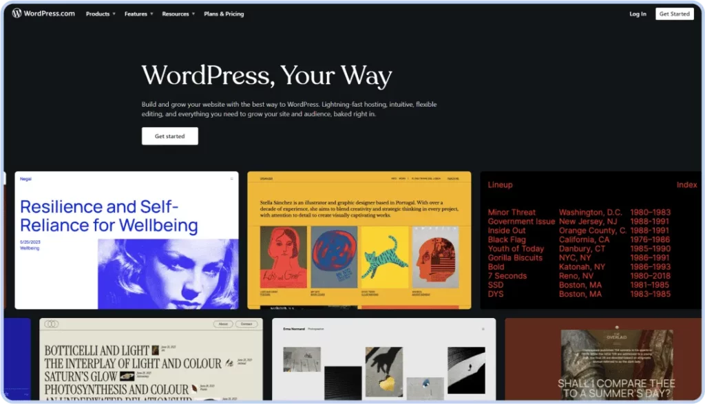 Wordpress and Woocommerce eCommerce CMS platform