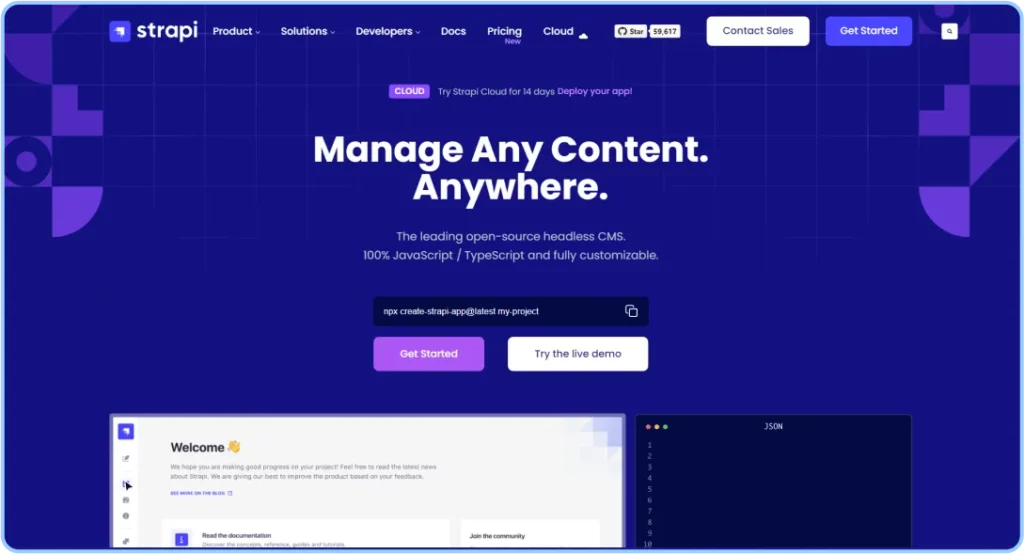 Strapi CMS for Programmers and Developers
