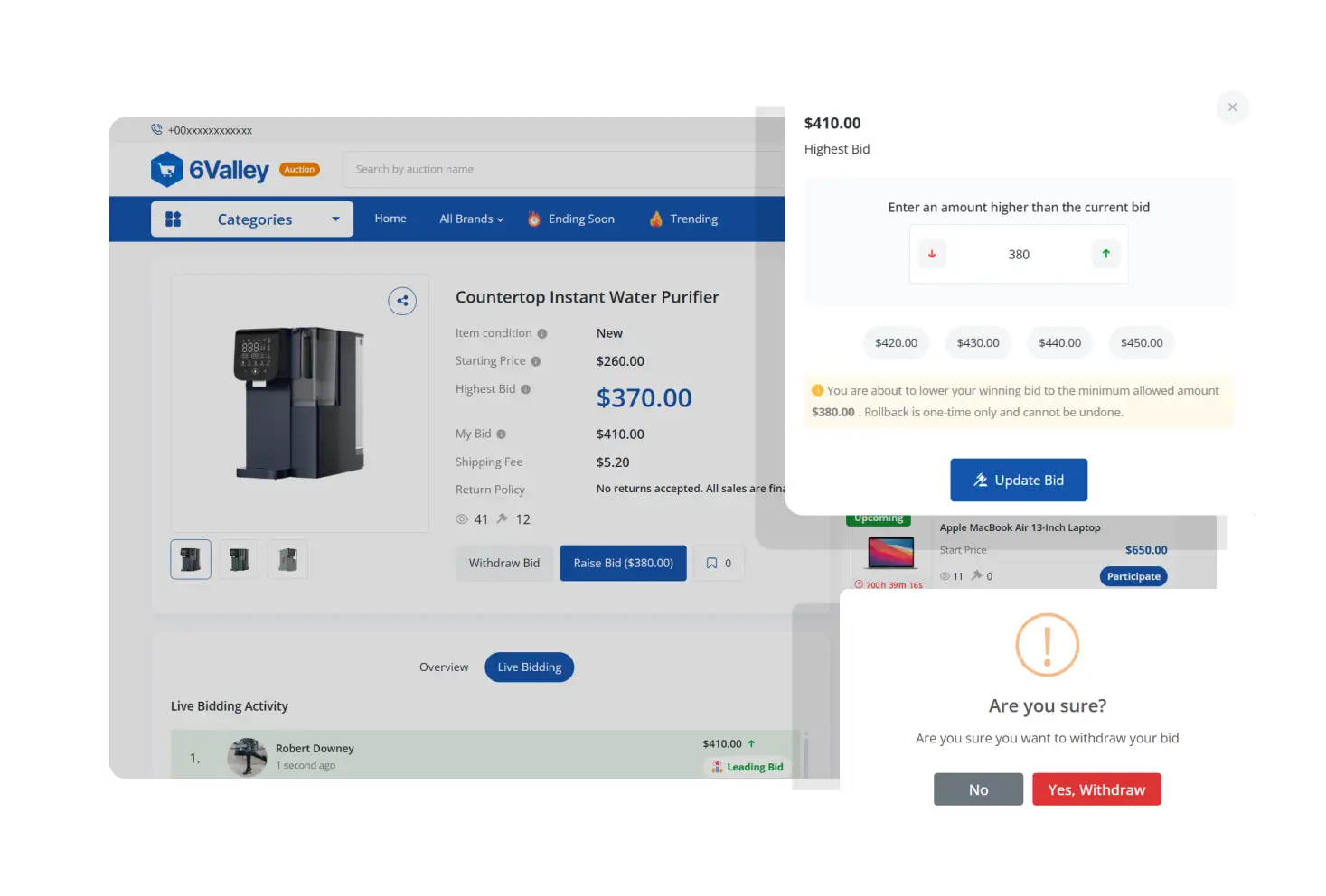 6Valley Auction - Bid Rollback And Withdrawal