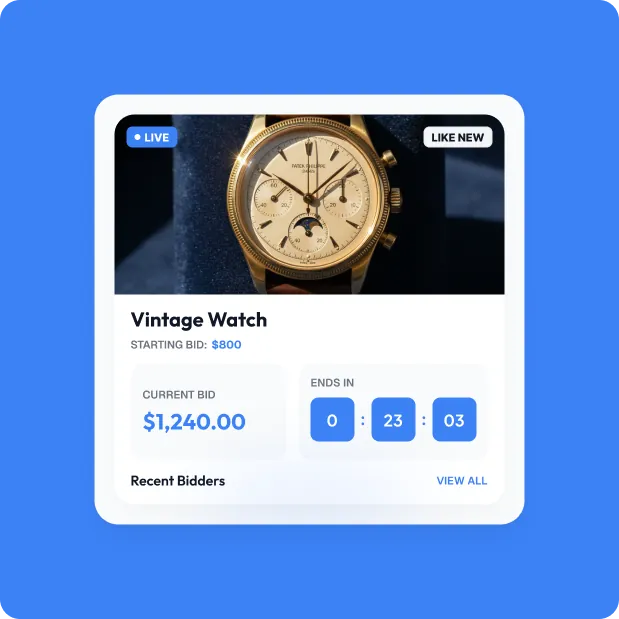 Real-time auction bidding interface
